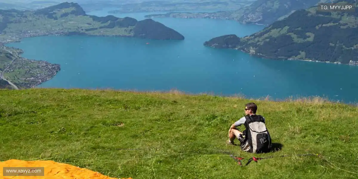 📺 高清直播,实时互动!不错过每一个心跳瞬间!